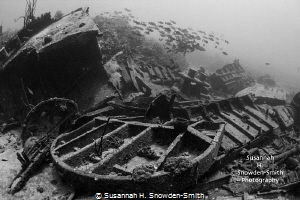 Oro Verde shipwreck
Grand Cayman
Canon 40D in Sea & Sea... by Susannah H. Snowden-Smith 